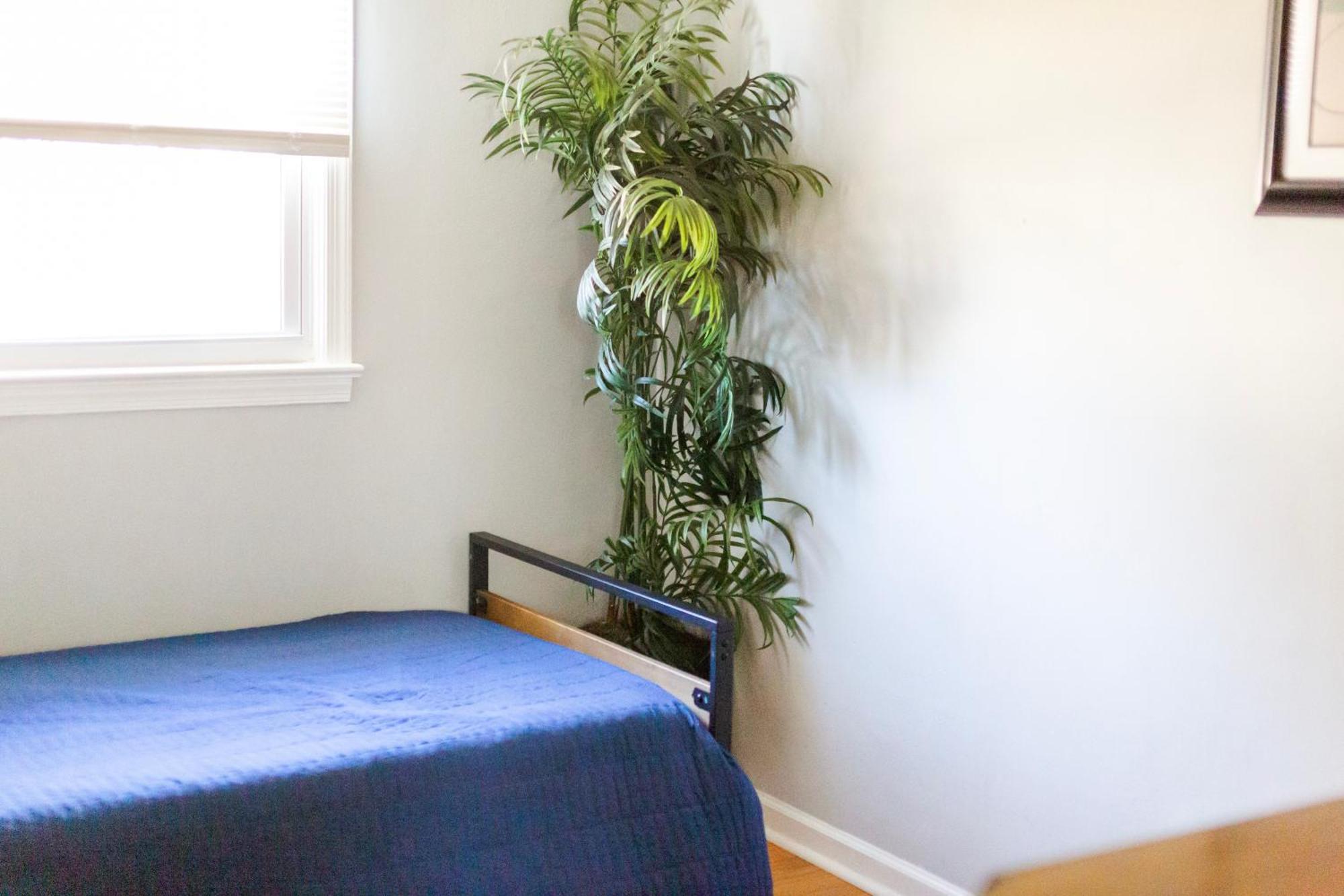 Fantastic 3Br Close To Botanical Gardens And Airport Норфолк Екстер'єр фото
